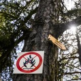 le risque d’incendie est désormais évalué entre 3 et 4 sur l’échelle cantonale – un niveau marqué à fort – dans la plupart des régions.(Photo d'illustration)
